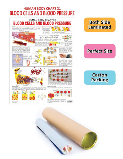 Blood Cells & Blood Pressure Wall Chart [Paperback]