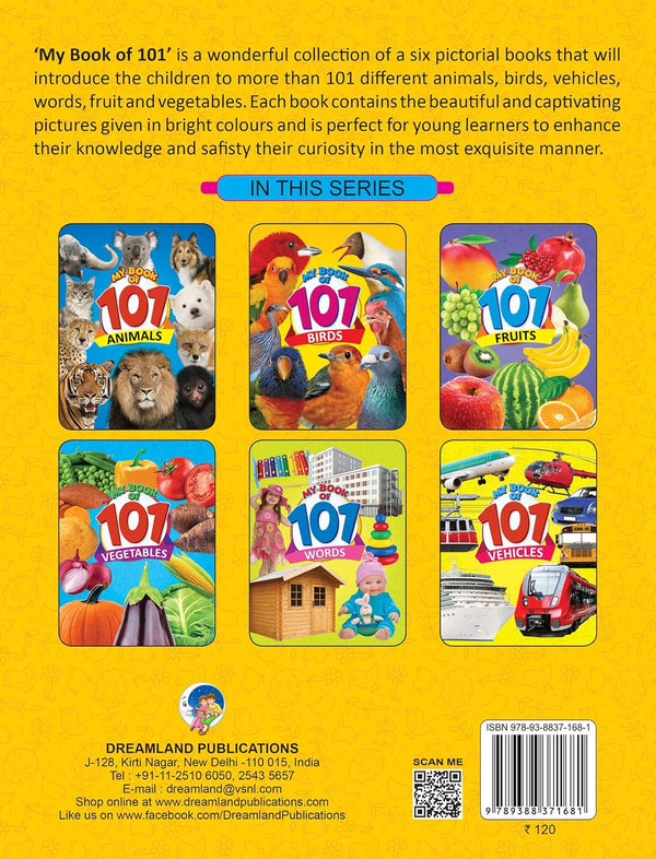 Birds My 101 Picture Book for Children [Paperback]