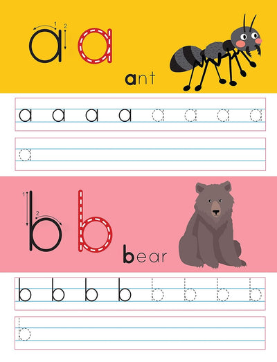 Lowercase Alphabet by Team Pegasus [Paperback]