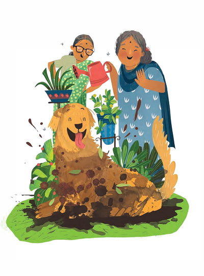 The Gopi Diaries by Sudha Murty [Hardcover]