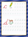 Write and Learn - Small Cursive Letters by Team Pegasus [Paperback]
