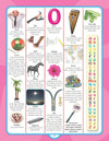 Junior Picture Dictionary by Dreamland Publications [Paperback]