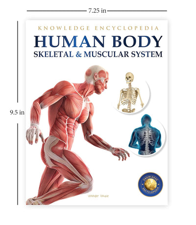 Human Body Box Set Knowledge Encyclopedia For Children [Paperback]