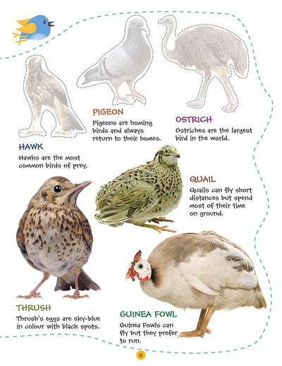 Play With Sticker - Birds [Paperback]
