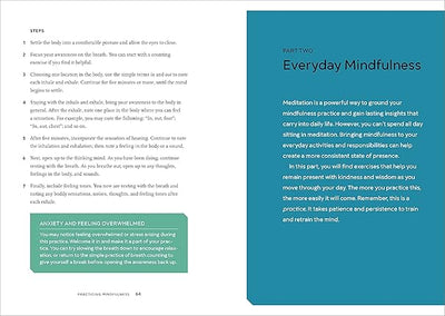 PRACTICING MINDFULNESS by Mathew Sockolov [Paperback]