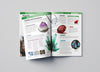 Knowledge Encyclopedia Our Planet Earth: Rock & Minerals [Paperback]
