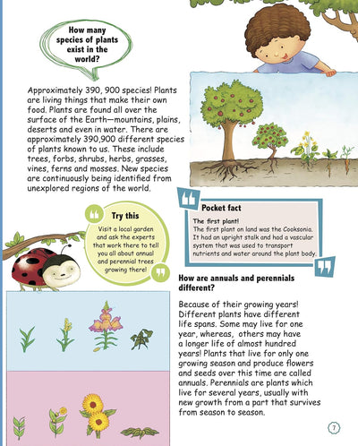 Amazing Questions & Answers Plants by Om Books Editorial Team [Paperback]