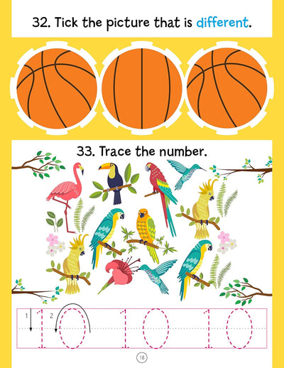 201 Activity Book [Paperback]