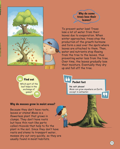Amazing Questions & Answers Plants by Om Books Editorial Team [Paperback]