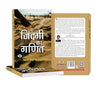 Zindagi Ka Ganit by Mehrunnisa Parvez [Paperback] Hindi Edition