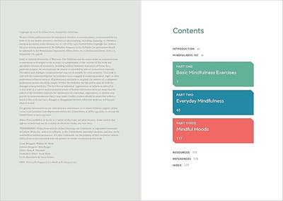 PRACTICING MINDFULNESS by Mathew Sockolov [Paperback]