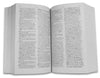 Pegasus Student's Dictionary by Team Pegasus [Paperback]