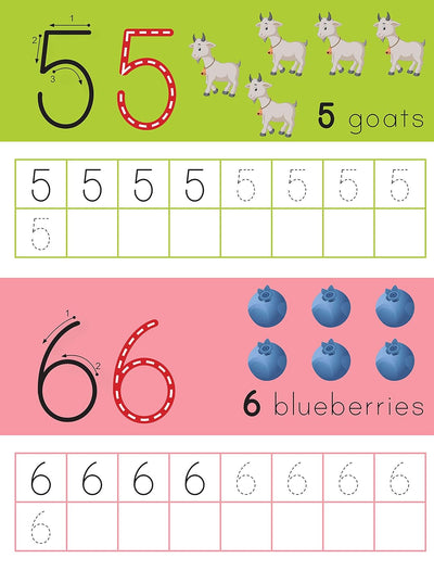 Numbers 1-10 by Team Pegasus [Paperback]
