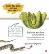 Snake : Its Me Snake [Paperback]