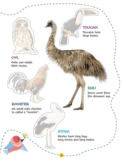 Play With Sticker - Birds [Paperback]