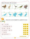 Play With Sticker - Birds [Paperback]