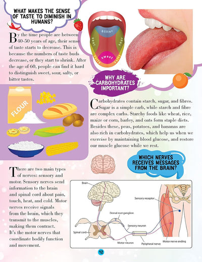Human Body Encyclopedia for Children [Paperback] All About Trivia Questions and Answers