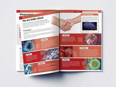 Human Body Box Set Knowledge Encyclopedia For Children [Paperback]