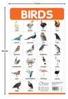 Birds My First Early Learning Wall Posters [Paperback]