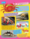 365 Facts on Animals and Birds Book for Children [Paperback]