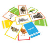 Amazing Flash Cards Set Of 4 Boxes [Cards]