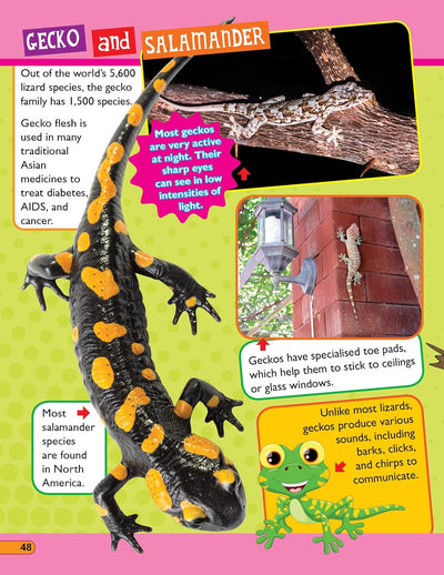 365 Facts on Animals and Birds Book for Children [Paperback]