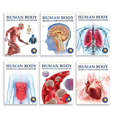 Human Body Box Set Knowledge Encyclopedia For Children [Paperback]