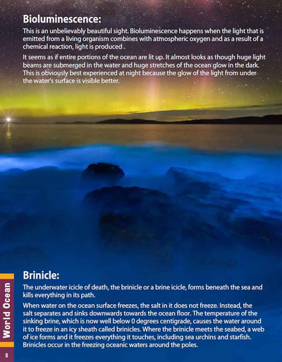 Ocean World Children's Encyclopedia by Team Pegasus [Hardcover]