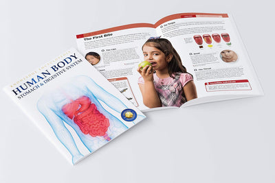 Human Body Box Set Knowledge Encyclopedia For Children [Paperback]