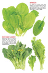 My Jumbo Book of Vegetables [Hardcover]