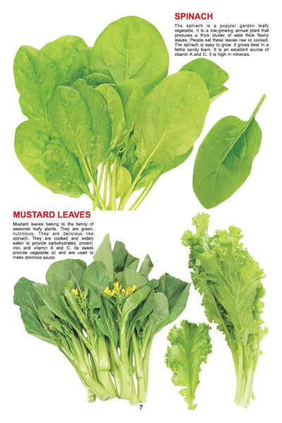 My Jumbo Book of Vegetables [Hardcover]