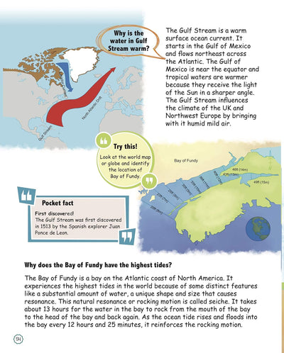 Amazing Questions & Answers Seas & Oceans by Om Books Editorial Team [Paperback]