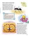 Amazing Questions & Answers Nature by Om Books Editorial Team [Paperback]