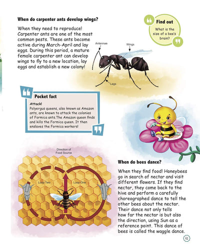 Amazing Questions & Answers Nature by Om Books Editorial Team [Paperback]