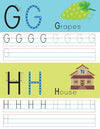 Uppercase Alphabet by Team Pegasus [Paperback]