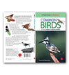 COMMON BIRDS OF THE INDIAN SUBCONTINENT by Ananda Banerjee [Paperback]