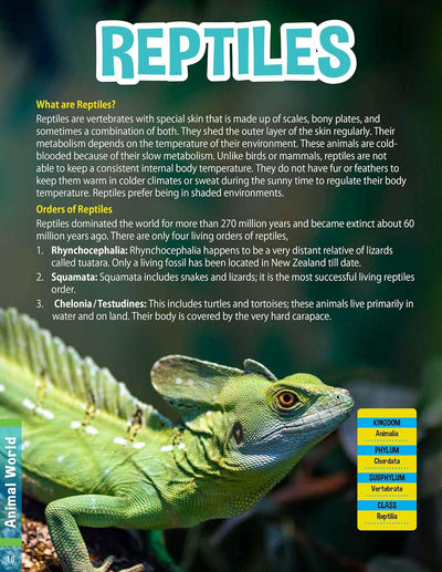 Animal World Children's Encyclopedia by Team Pegasus [Hardcover]