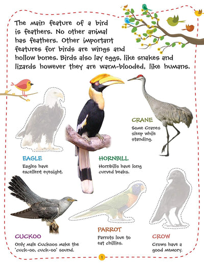 Play With Sticker - Birds [Paperback]