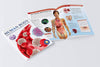 Human Body Box Set Knowledge Encyclopedia For Children [Paperback]