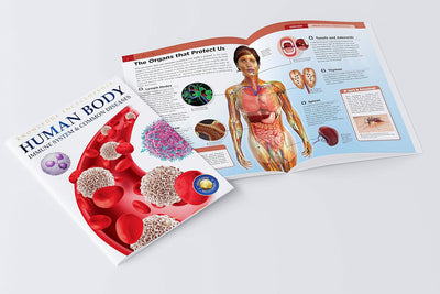 Human Body Box Set Knowledge Encyclopedia For Children [Paperback]