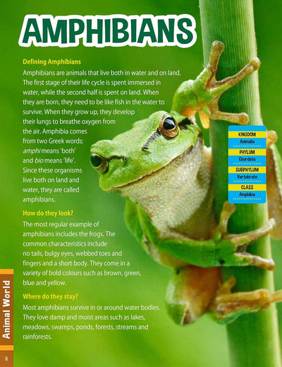 Animal World Children's Encyclopedia by Team Pegasus [Hardcover]