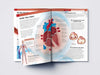 Human Body Box Set Knowledge Encyclopedia For Children [Paperback]