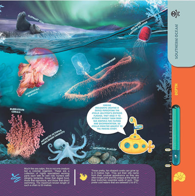 Secrets of the Oceans WOW Children Encyclopedia in Augmented Reality [Paperback]