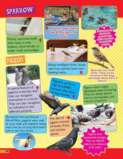 365 Facts on Animals and Birds Book for Children [Paperback]