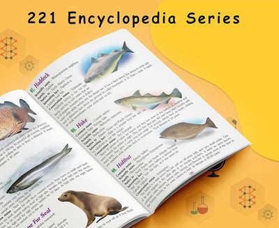 221 Amazing Marine Animals Encyclopedia by Sawan, Manoj Publications Editorial Board & Sahil Gupta [Paperback]