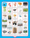 Junior Picture Dictionary by Dreamland Publications [Paperback]