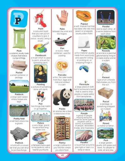 Junior Picture Dictionary by Dreamland Publications [Paperback]