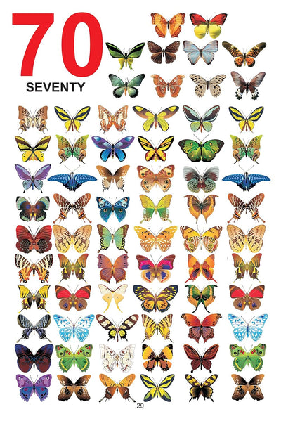 My Jumbo Book of Numbers [Paperback]