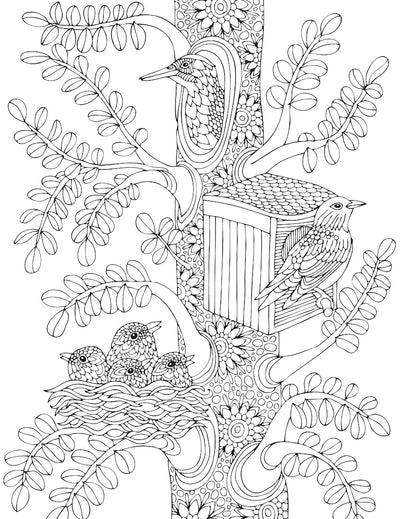 Nature- Colouring Book for Adults [Paperback]