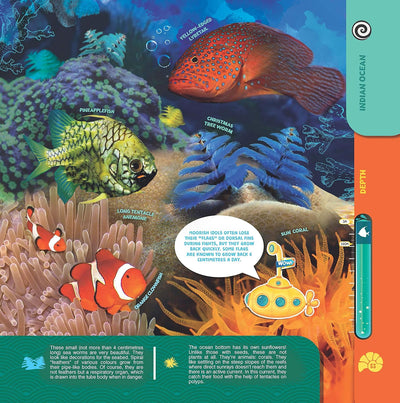 Secrets of the Oceans WOW Children Encyclopedia in Augmented Reality [Paperback]